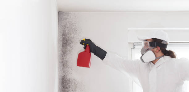 Best Mold Cleaning Services  in Alpha, NJ